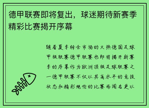德甲联赛即将复出，球迷期待新赛季精彩比赛揭开序幕